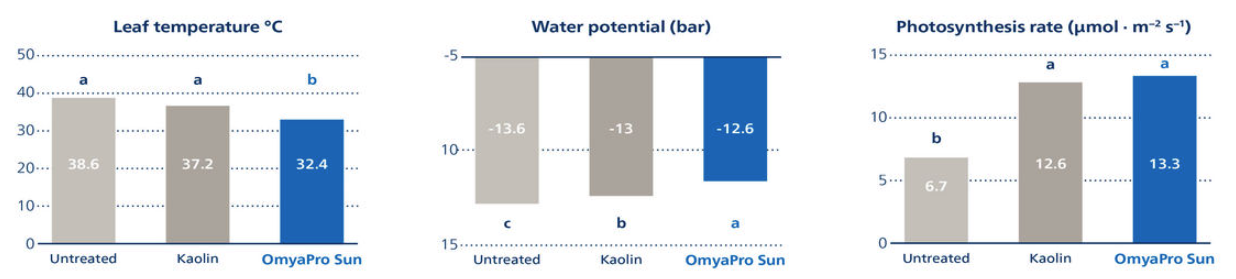 Figure 2. Field measurements of grape leaf temperature, water potential, and photosynthetic rate in untreated and treated vines. Treatments: OmyaPro Sun or kaolin, 2 applications at 5% with surfactant (green berry and beginning of ripening stages). Source: Agricultural University of Athens.
