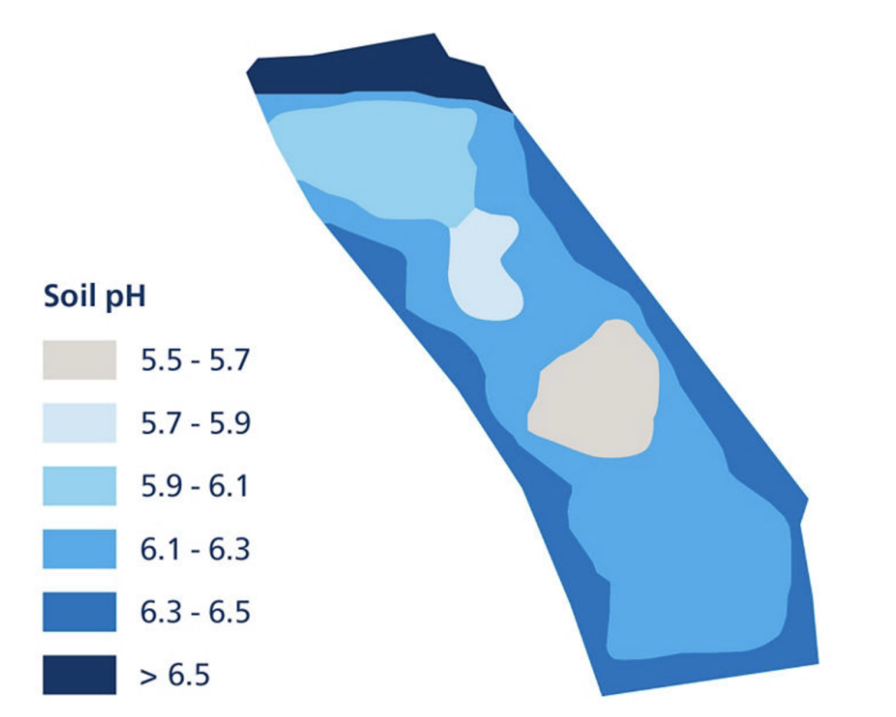 Figure 3.  A soil pH map reveals significant variability in pH levels across the field.