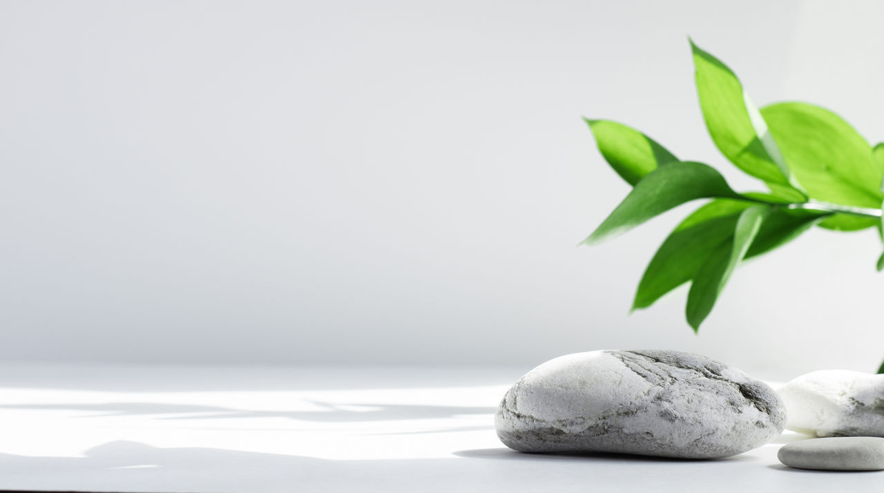 Salt stones and green Leaves of riskus in the sun, with shadows, on a white gray concrete background with copy space. Advertising background concept for cosmetics, fashion, spa. Banner; Shutterstock ID 1957542754; purchase_order: CON; job: ; client: ; other: 