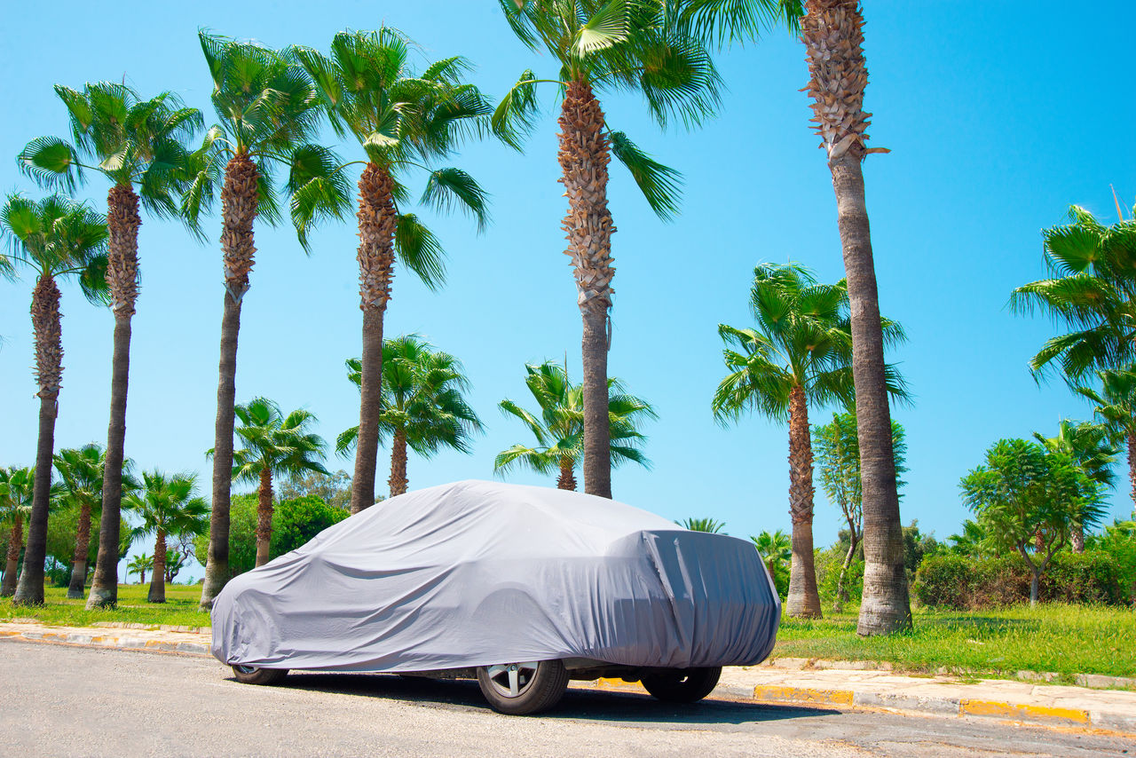 The car is in the parking with auto cover from the sun surrounded by palm trees. Hot countries, protection from heating the car.; Shutterstock ID 1221831919; purchase_order: POL Website Automotive_Plastisols; job: ; client: ; other: 