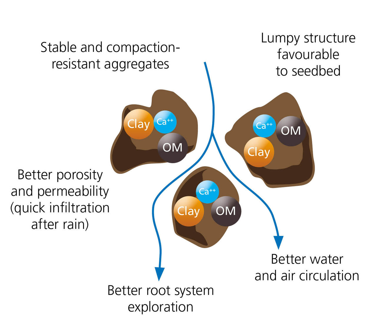 Calcium Flucotation